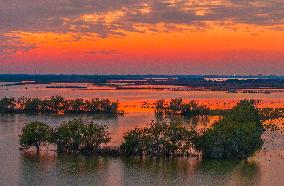 Hongze Lake Wetland at Sunset in Suqian