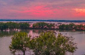 Hongze Lake Wetland at Sunset in Suqian