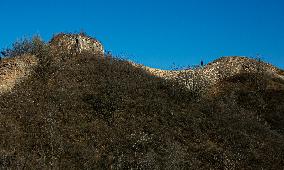 CHINA-BEIJING-GUBEIKOU GREAT WALL-SCENERY (CN)