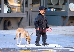 Peter Dinklage Out And About - NYC