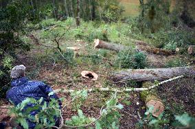 'Squirrels' Occupy Oaks In The 'Sherwood Forest' To Block The Building Of The A69 Highway