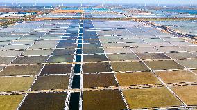 Salt Field in Yancheng