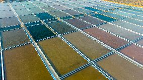 Salt Field in Yancheng