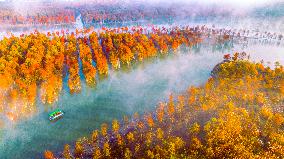 Fangtang Redwood Forest Scenic Spot in Xuancheng