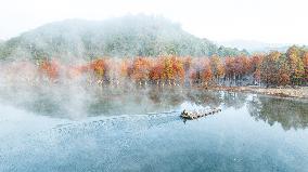 Fangtang Redwood Forest Scenic Spot in Xuancheng
