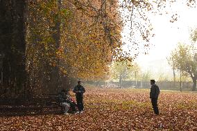 Autumn In Kashmir