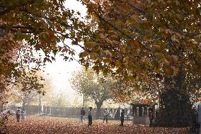 Autumn In Kashmir