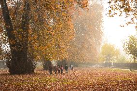 Autumn In Kashmir