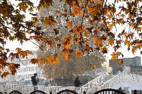 Autumn In Kashmir