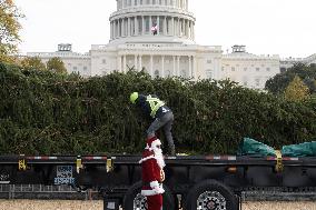 Architect Of The Capitol Hold A Capitol Christmas Tree Arrival