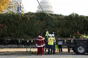 Architect Of The Capitol Hold A Capitol Christmas Tree Arrival