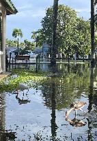 Florida Hit By Flash Flooding