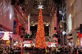 Christmas Tree - Toronto, Canada