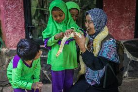 Mini Zoo In Semarang