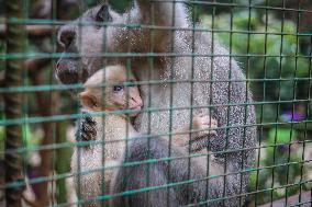 Mini Zoo In Semarang