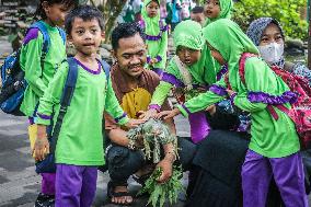 Mini Zoo In Semarang