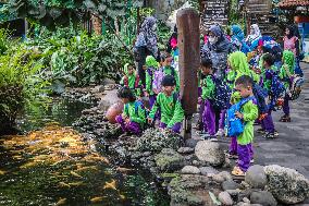 Mini Zoo In Semarang