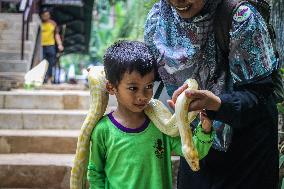 Mini Zoo In Semarang