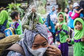 Mini Zoo In Semarang