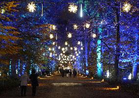 GERMANY-BERLIN-CHRISTMAS GARDEN BERLIN-LIGHT SHOW