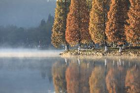 #(EcoChina)CHINA-EARLY WINTER-SCENERY (CN)