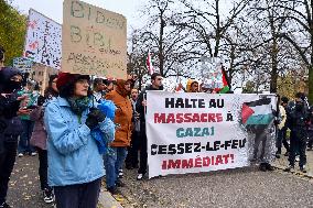 Pro-Palestinian Rally - Strasbourg