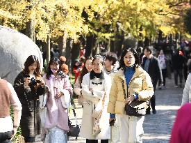 Tourists Travel in Nanjing