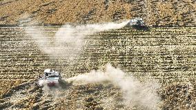 Rice Harvest in Suqian