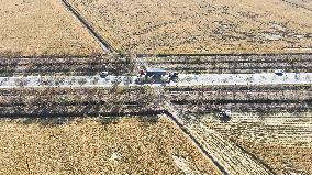 Rice Harvest in Suqian