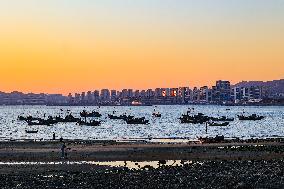 Fishing Boats Sailing at Sunset in Qingdao