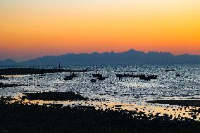 Fishing Boats Sailing at Sunset in Qingdao