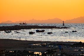 Fishing Boats Sailing at Sunset in Qingdao