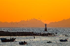 Fishing Boats Sailing at Sunset in Qingdao