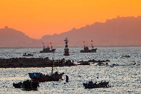 Fishing Boats Sailing at Sunset in Qingdao