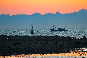 Fishing Boats Sailing at Sunset in Qingdao