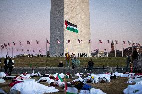 Die-in for Gaza in Washington, DC