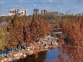 Wetland Protection System in China