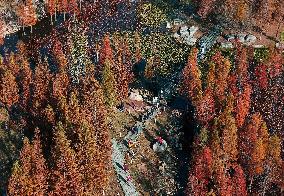 Wetland Protection System in China