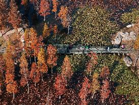 Wetland Protection System in China