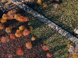 Wetland Protection System in China