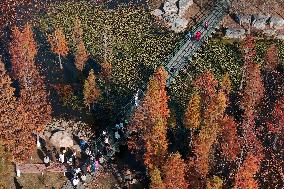 Wetland Protection System in China