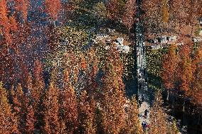 Wetland Protection System in China