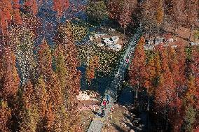 Wetland Protection System in China