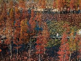 Wetland Protection System in China