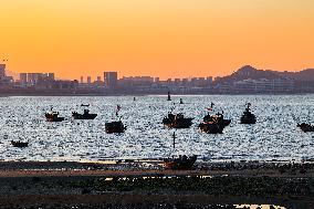 Fishing Boats Sailing at Sunset in Qingdao