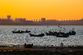 Fishing Boats Sailing at Sunset in Qingdao