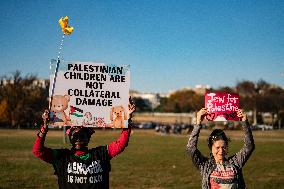 Die In Washington DC For Free Gaza