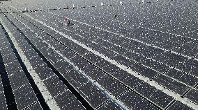 Fishery-solar Hybrid Project in Zaozhuang