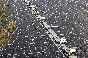 Fishery-solar Hybrid Project in Zaozhuang