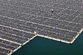 Fishery-solar Hybrid Project in Zaozhuang